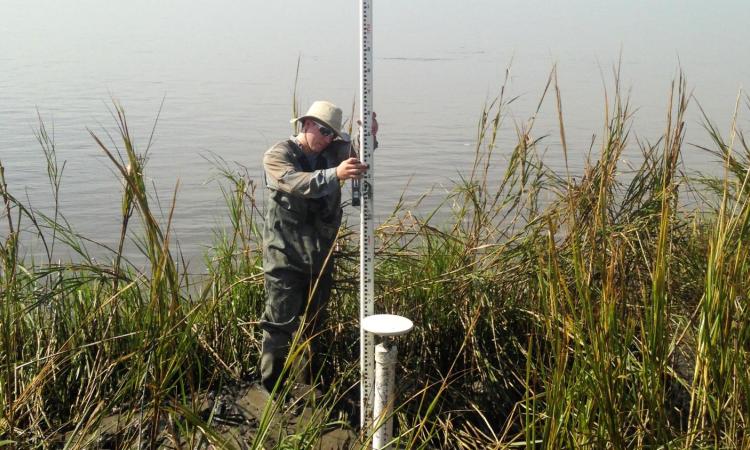 Man measuring depth of the ground in a swamp