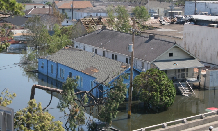 Flooded houses and downed trees after Hurricane Katrina