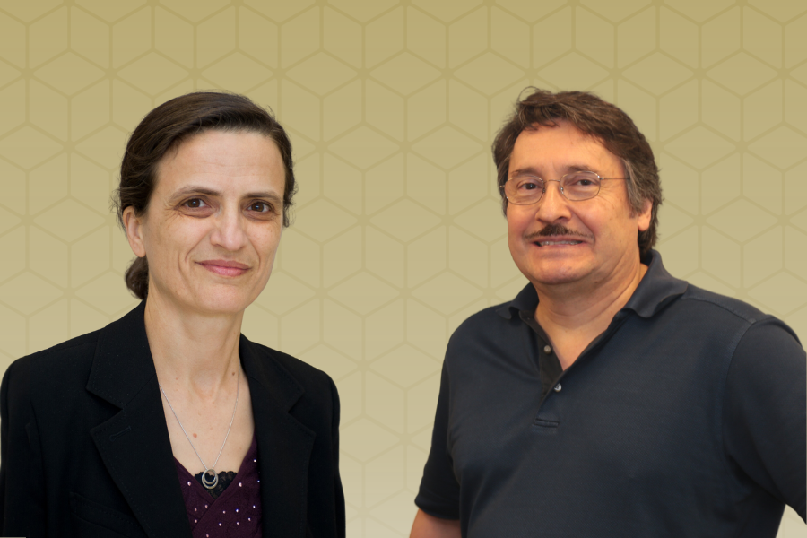 Composite image of professors Sotira Yiacoumi and Aris Georgakakos